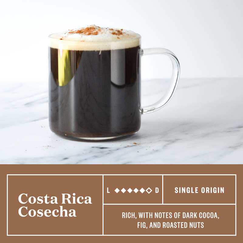 Costa Rica Pico de Cosecha