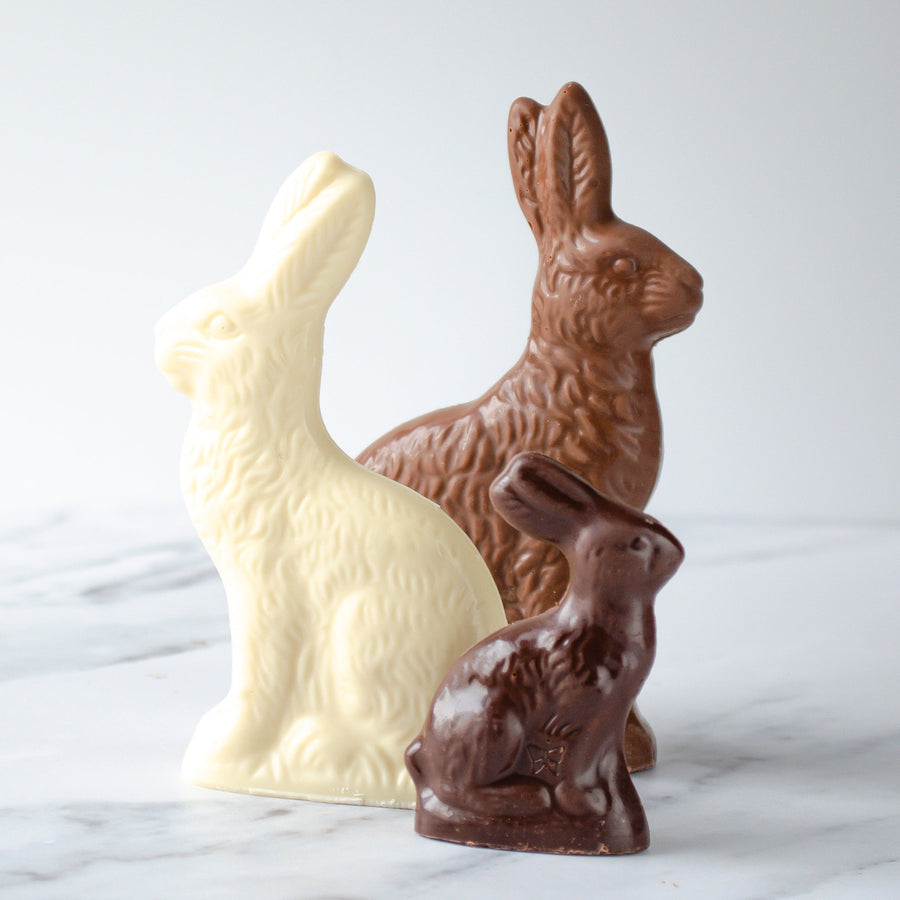 Winans Sitting Solid Chocolate Bunny