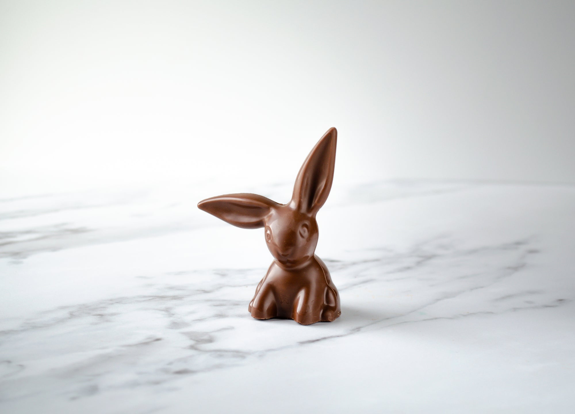 Solid Chocolate Flop-Eared Bunny